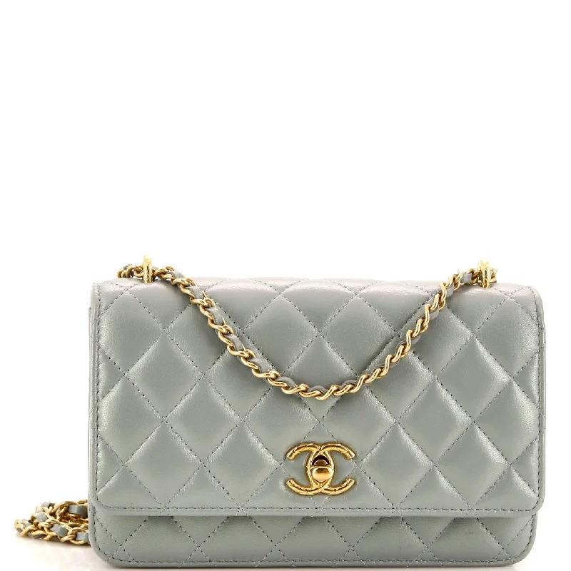 Gucci backpacks for women with a padded laptop compartmentPearl Crush Wallet on Chain Quilted Iridescent Lambskin